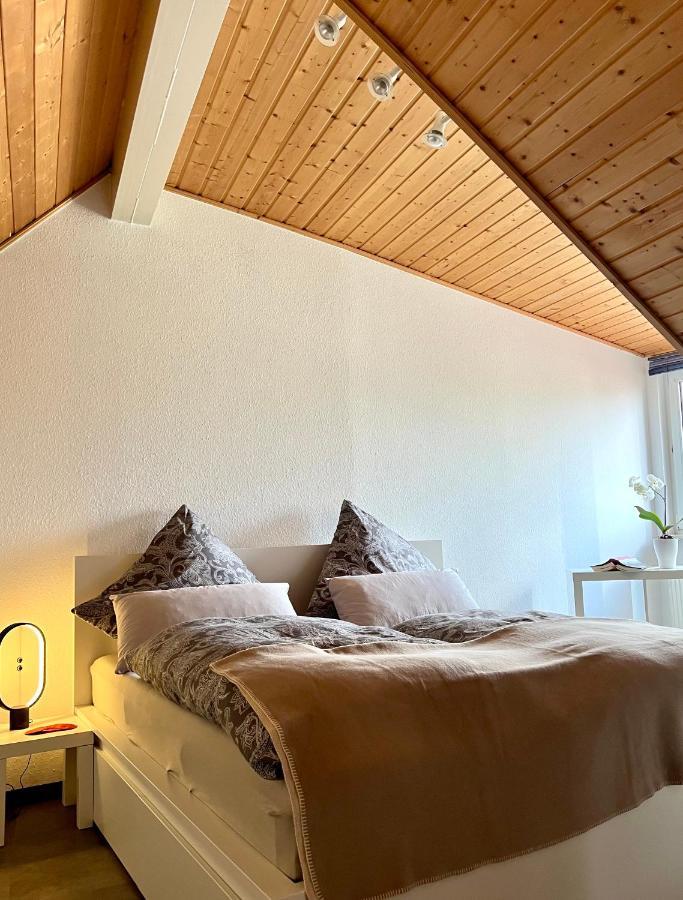 Anton-Ulrich Apartment Meiningen Kültér fotó