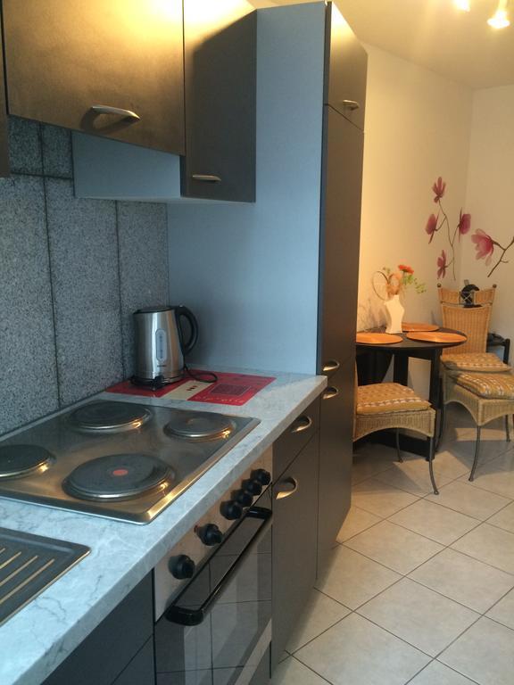 Anton-Ulrich Apartment Meiningen Kültér fotó
